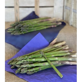 Asperge verte