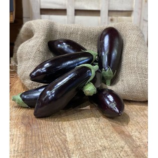 Aubergine