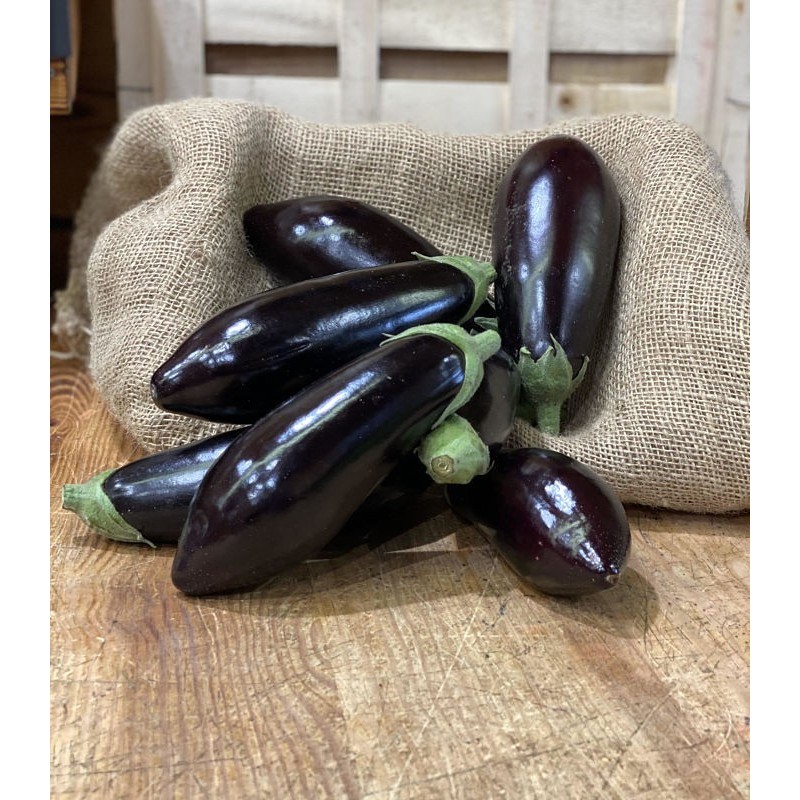 Aubergine