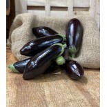 Aubergine