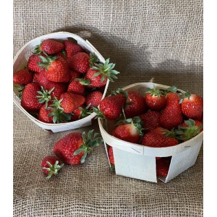 Fraise 500 g (Type Dream)