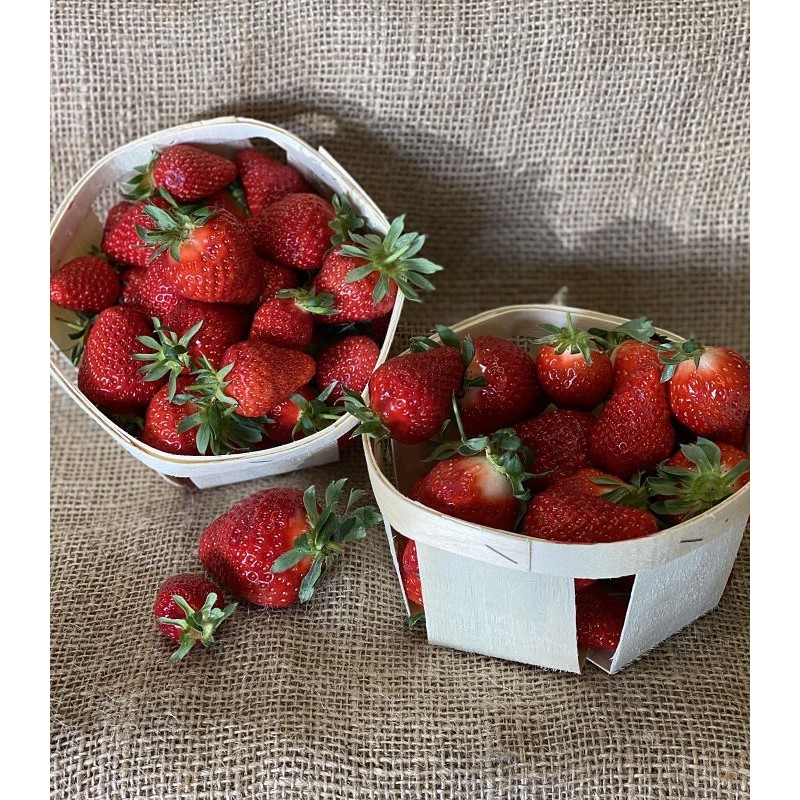 Fraise 500 g (Type Dream)