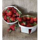 Fraise 500 g (Type Dream)