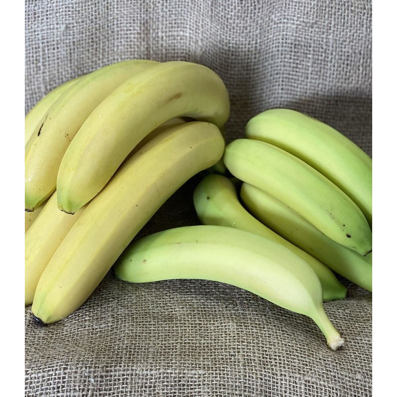 Banane