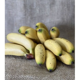 Banane Frécinette