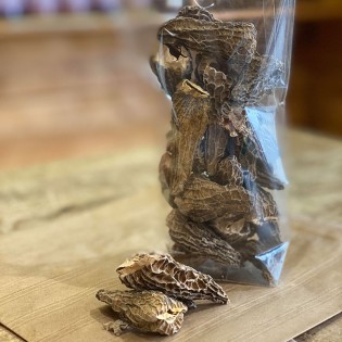Morille sèche spéciale sans queue Barquette 20 g