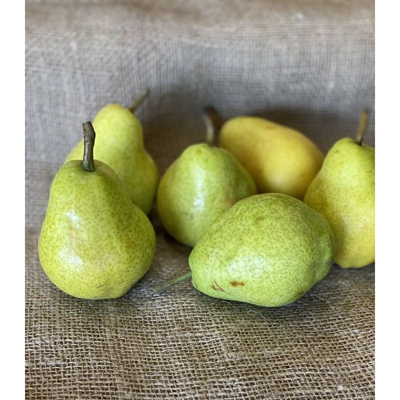 Poire Angélys