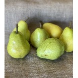 Poire Angélys