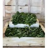 Salade Mâche en vrac