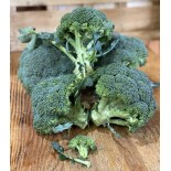 Brocoli