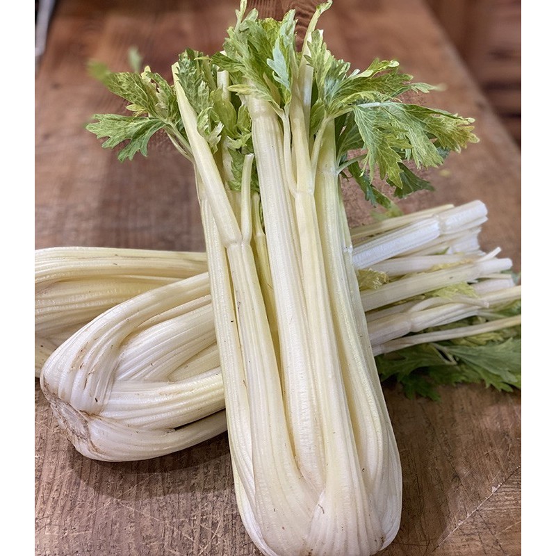 Céleri Branche Vert Doré