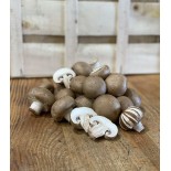 Champignon Brun (100 g)