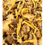 Chanterelle