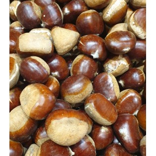 Châtaigne