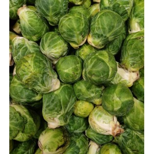 Chou de Bruxelles