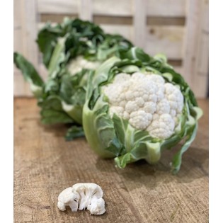 Chou Fleur