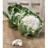 Chou Fleur
