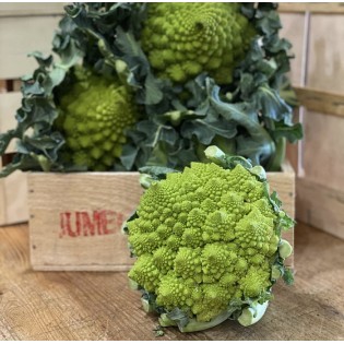 Chou Romanesco