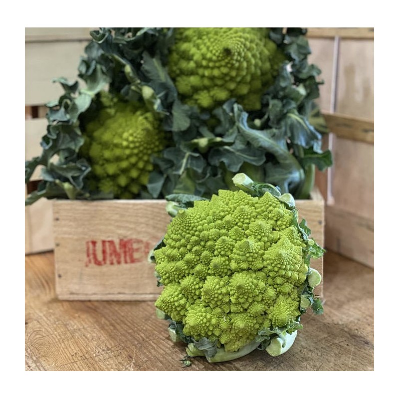 Chou Romanesco